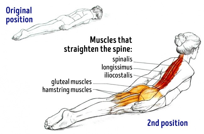 Rugversterkende oefening voor een nog sterkere rug